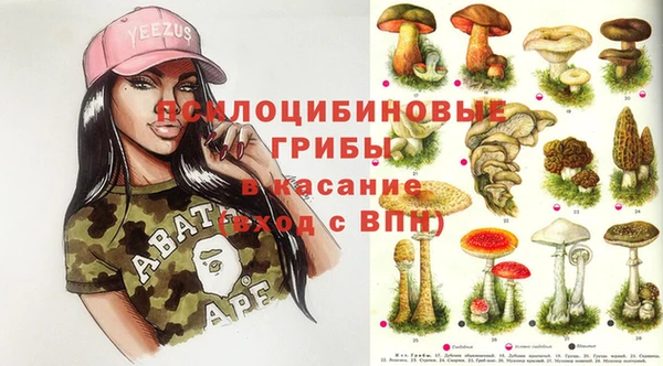 2c-b Аркадак