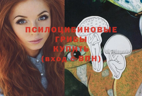 PSILOCYBIN Арсеньев
